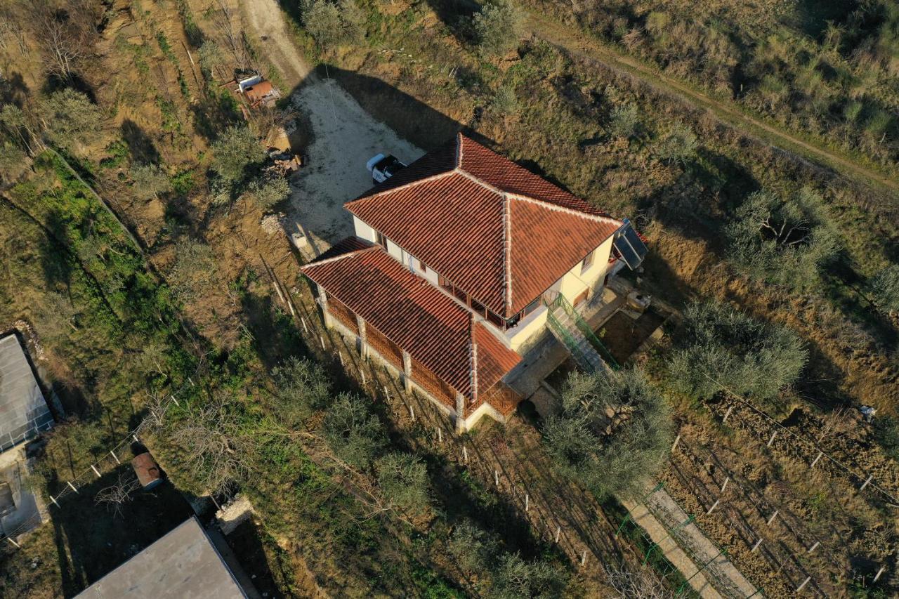 Guest House Pashollari Μπεράτ Εξωτερικό φωτογραφία